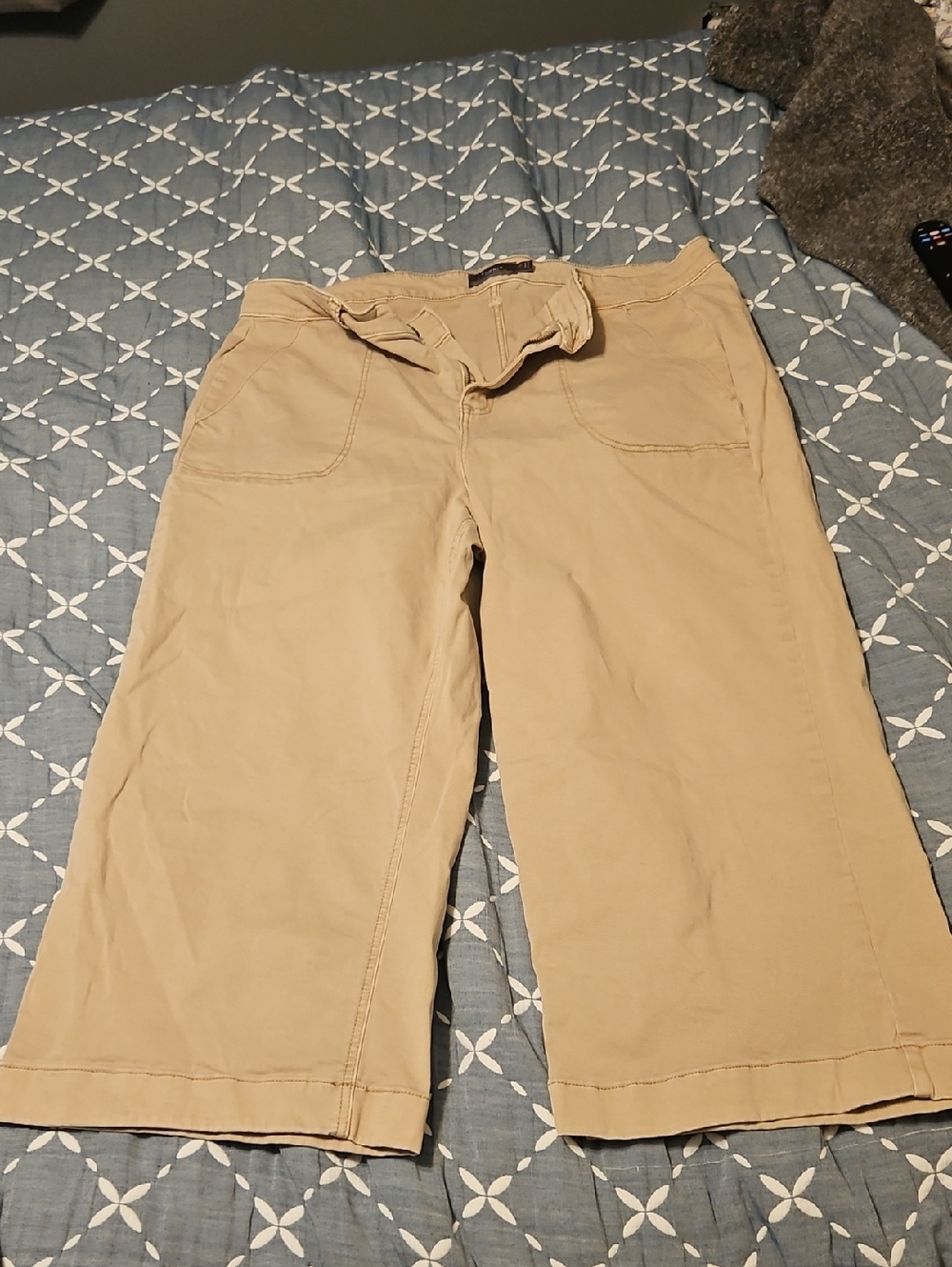 Torrid Wide Leg Khaki Pants